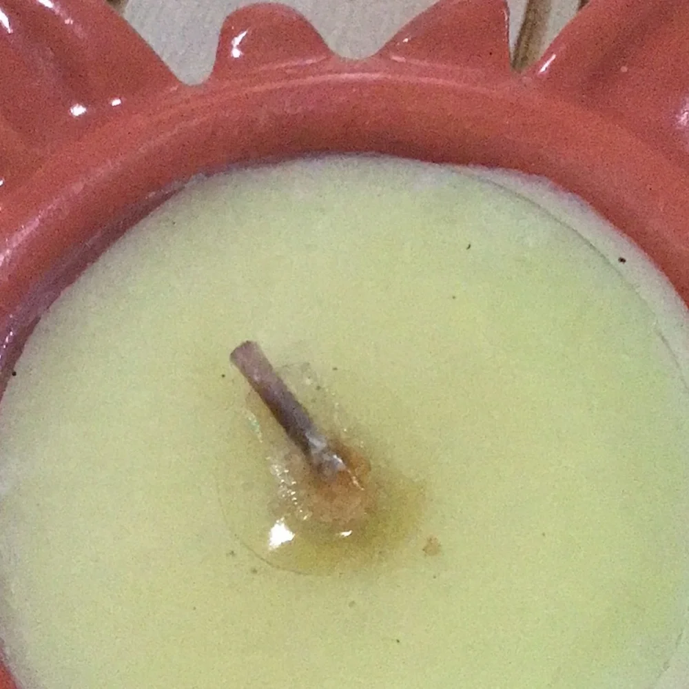 Set of 2 Pier 1 Orange Ceramic Butterfly Candles NWT‎